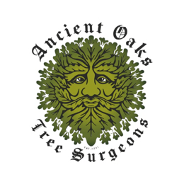 Ancient Oaks Tree Surgeons crest